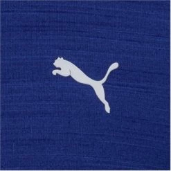 Puma Boys Cloudspun Monarch Junior Polo Shirt -Club Grips Sales Store puma boys cloudspun monarch shirt 8